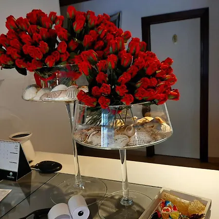 佛罗里达酒店 酒店 皮威蒂萨克